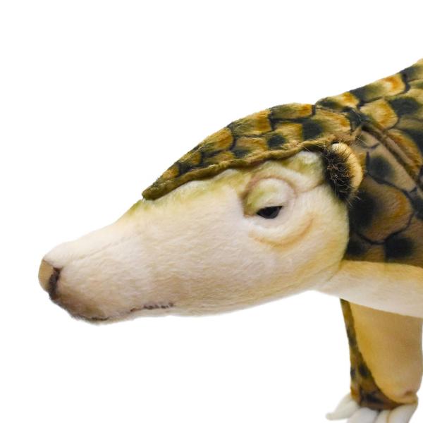 激レア⁉︎ 入手困難！ HANSA ハンサ アカブチサンショウウオ ぬいぐるみ 激レア⁉︎ 入手困難！ HANSA ハンサ アカブチサンショウウオ