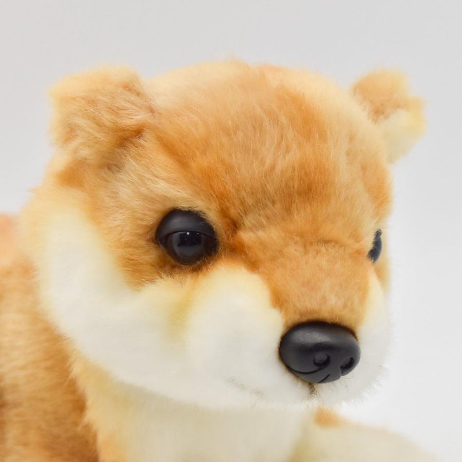 HANSA BH7017 シバイヌ 柴犬 しばいぬ ぬいぐるみ リアル : Dear Bear