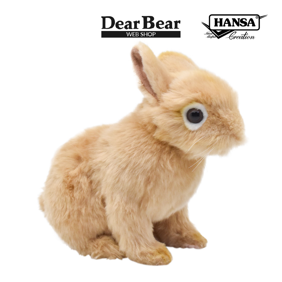 うさぎ 7022.jpg