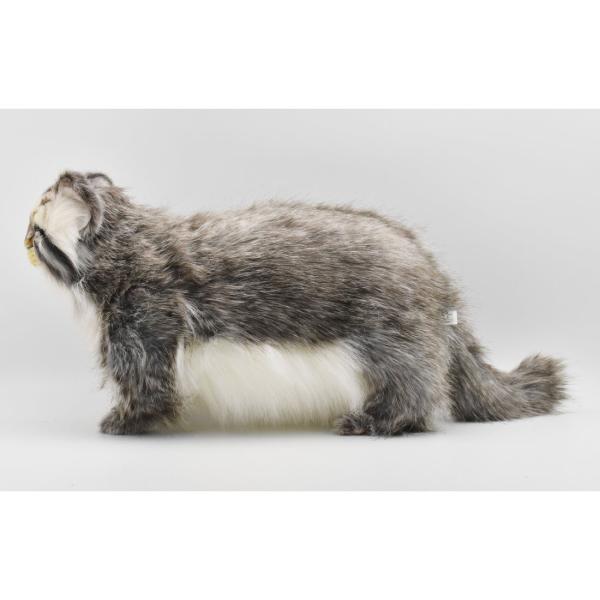 HANSA BH7077 マヌルネコ まぬるねこ ぬいぐるみ リアル 爆買 母の日