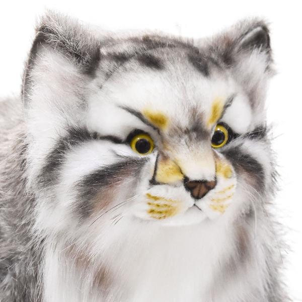 HANSA BH7077 マヌルネコ まぬるねこ ぬいぐるみ リアル : Dear Bear