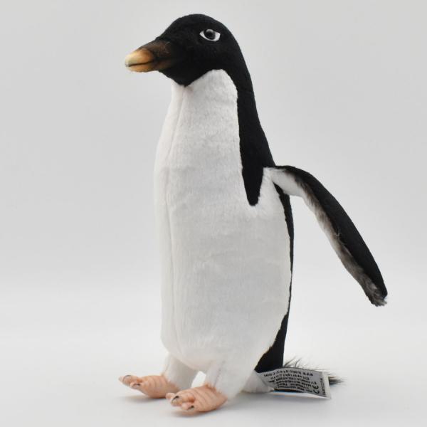 7095.jpg