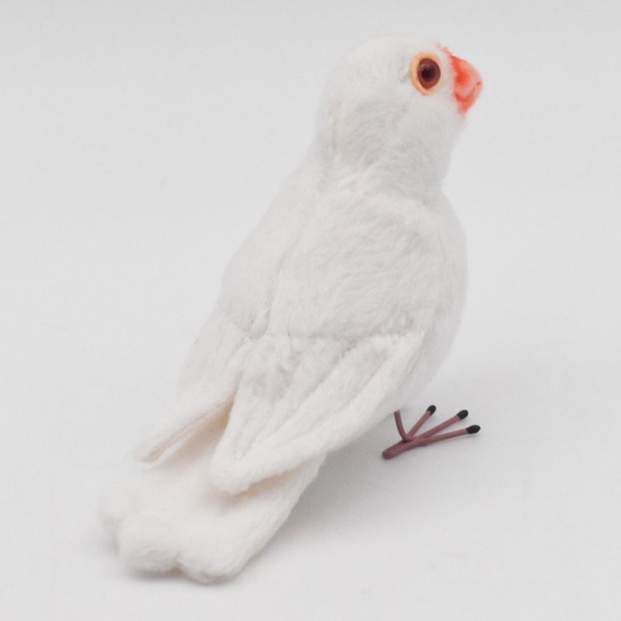 HANSA BH7244 シロブンチョウ しろぶんちょう 白文鳥 とり トリ 鳥