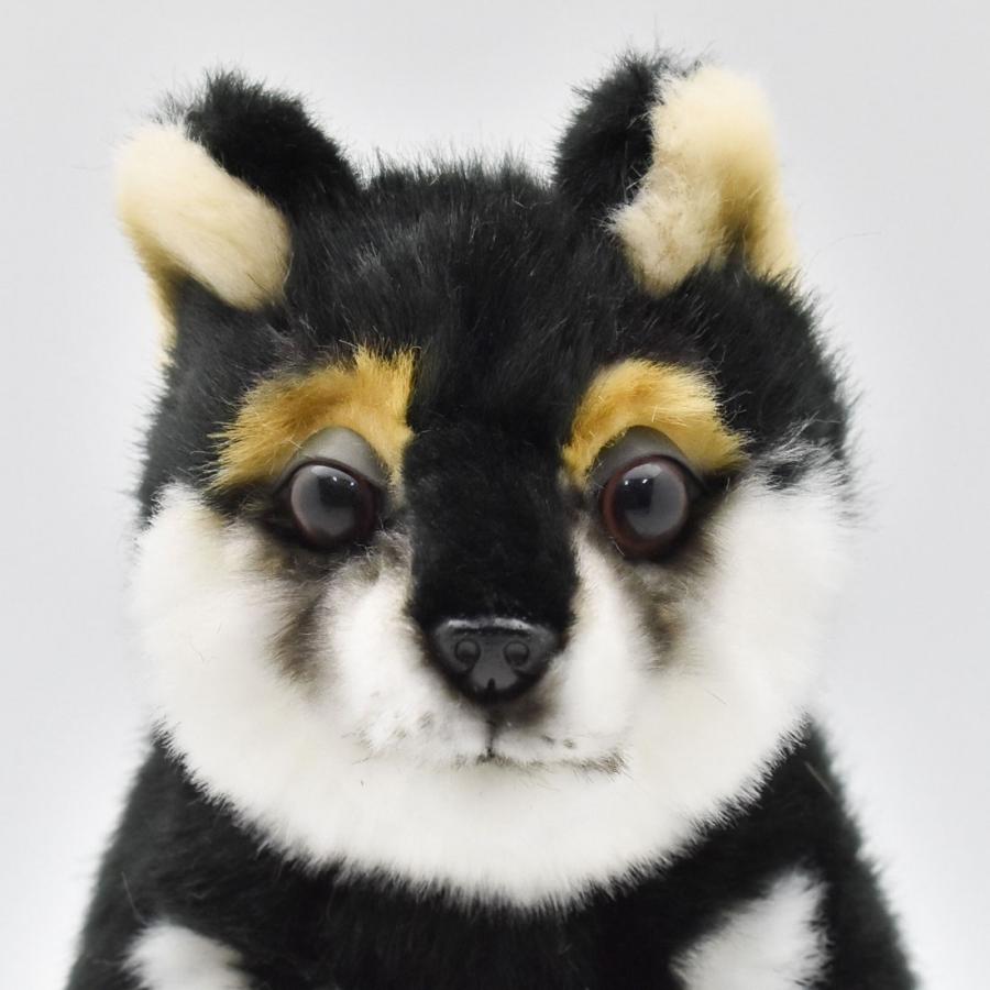 HANSA BH7249 クロシバ コ 黒柴 くろしば いぬ イヌ 犬 こども 子供