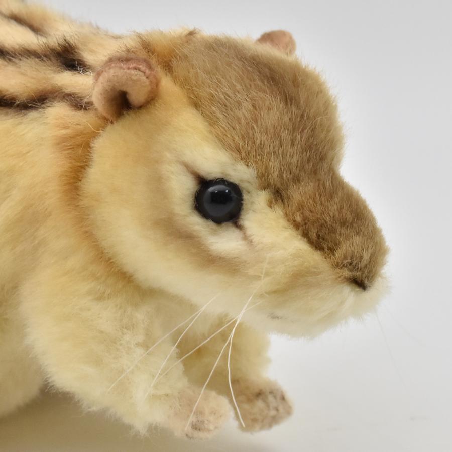 HANSA BH7843 シマリス しまりす 縞栗鼠 ぬいぐるみ リアル : Dear