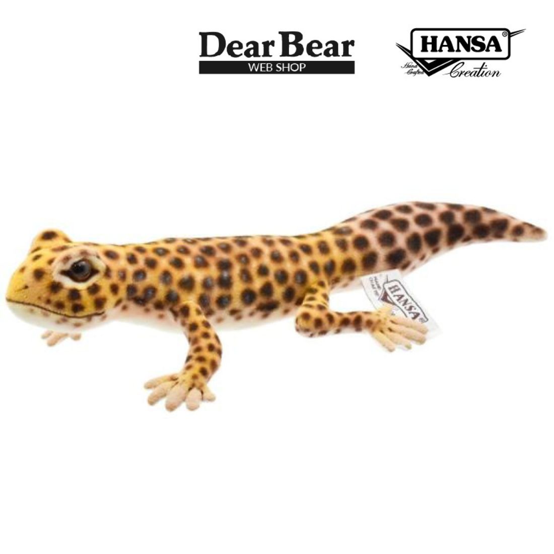 HANSA BH8140 ヒョウモントカゲモドキ ひょうもんとかげもどき やもり