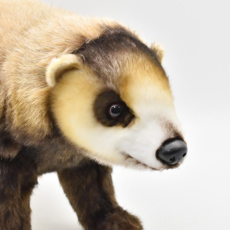 HANSA BH8148 ニホンアナグマ あなぐま くま 穴熊 ぬいぐるみ リアル