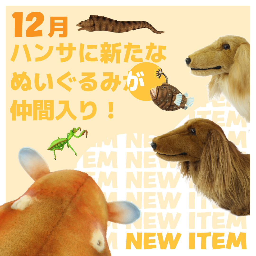ハンサ ぬいぐるみ テリア 犬 中古品 - メルカリ