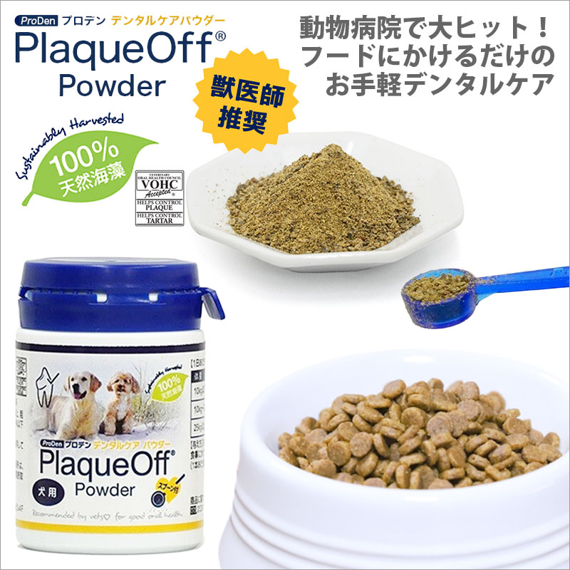 デンタルケア パウダー 犬用 40g プロデン 無添加 天然成分100% 口臭