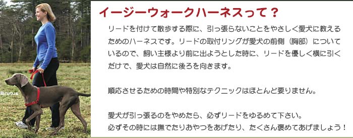 イージーウォークハーネスって？