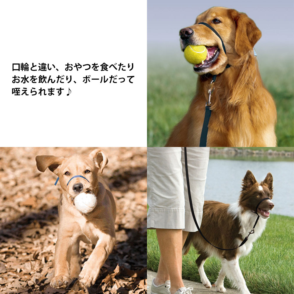 トレーニング ジェントルリーダー ヘッドカラー PetSafe ペットセーフ S M L サイズ 輸入商品 プレミア 引っ張り防止