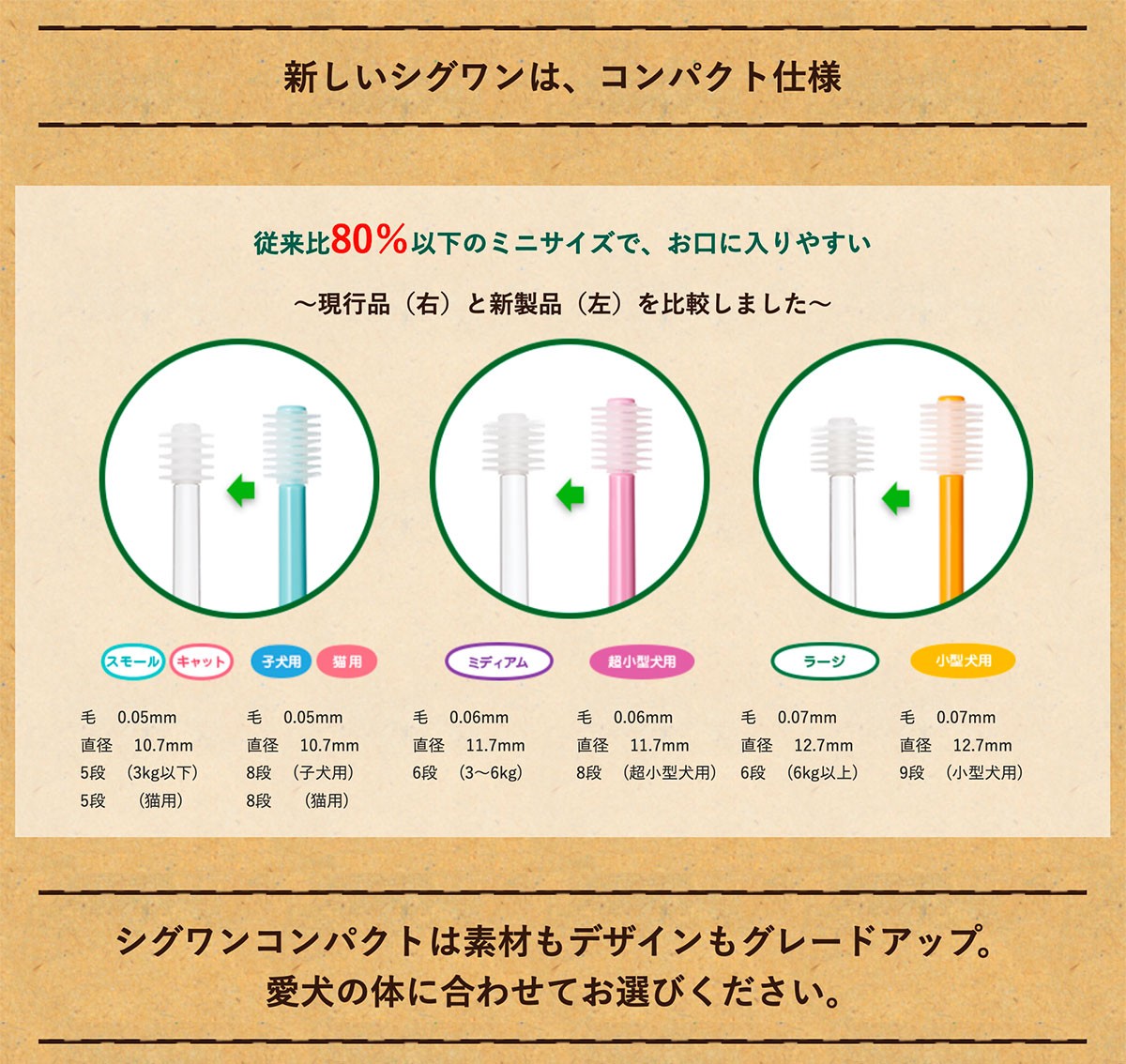 シグワン コンパクト歯ブラシ説明1