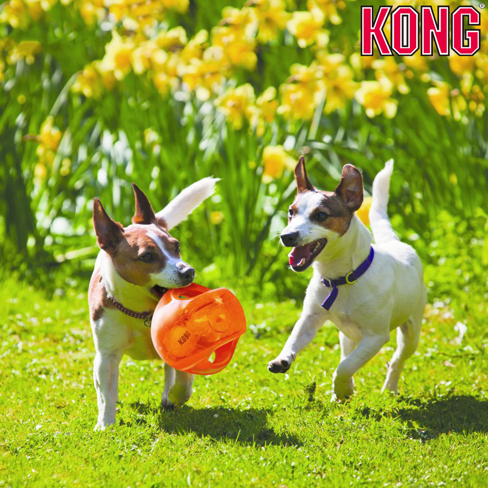 KONG コング ジャンブラー ボール L/XLサイズ 大型犬 超大型犬 KONG コング ジャンブラー ボール L/XLサイズ 大型犬 超大型犬