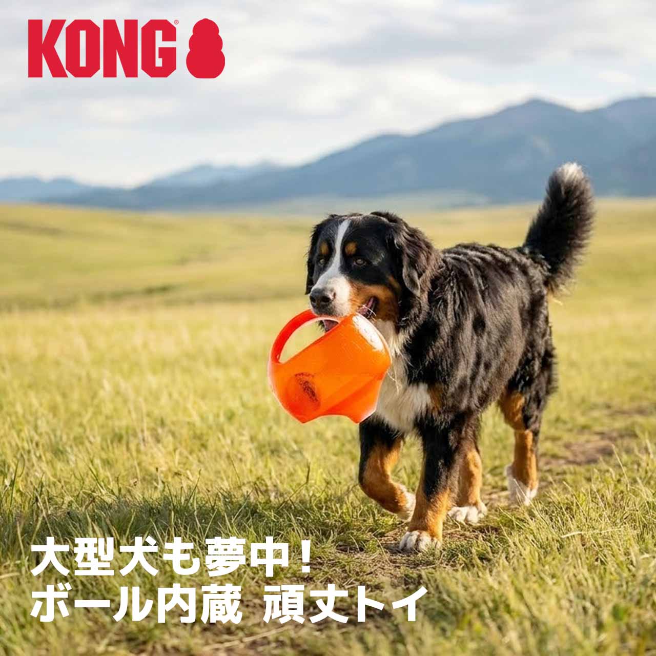 KONG（コング） ジャンブラー ボール L/XLサイズ 大型犬 超大型犬
