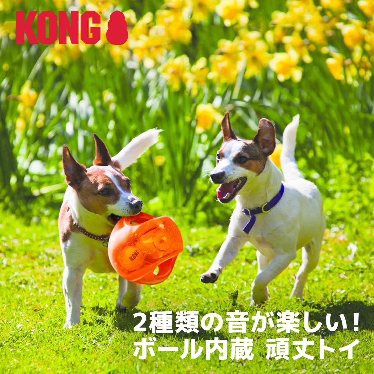KONG（コング） ジャンブラー ボール M/Lサイズ 中型犬 大型犬
