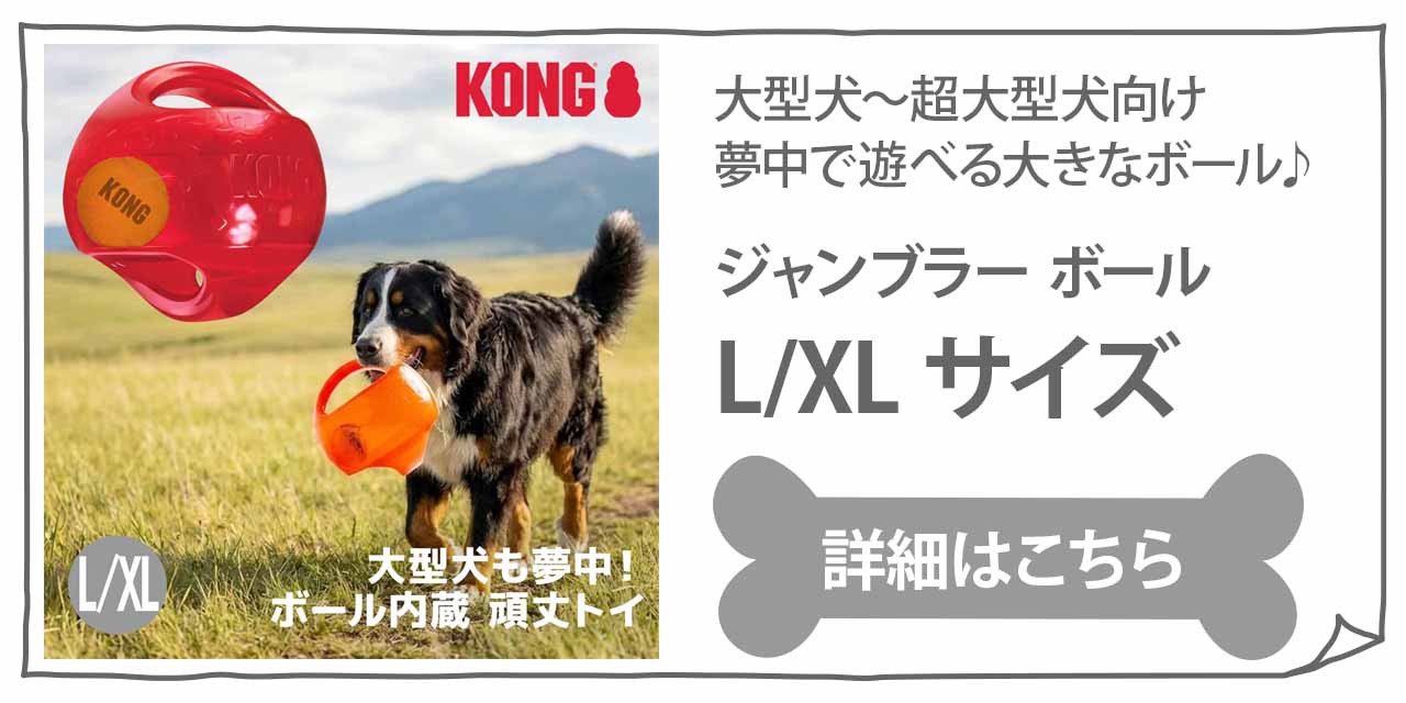 KONG（コング） ジャンブラー ボール M/Lサイズ 中型犬 大型犬
