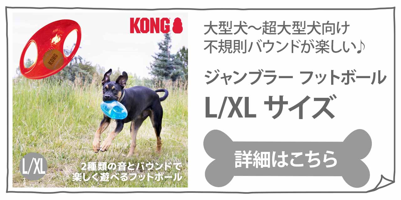 KONG（コング） ジャンブラー ボール M/Lサイズ 中型犬 大型犬