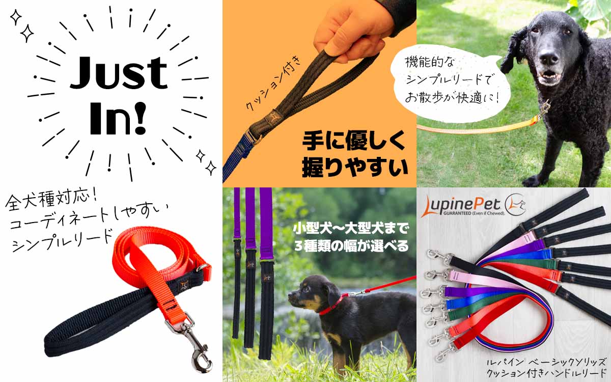 ユキエモン　フランシュリッペ　わんこ柄　犬図鑑柄 3Lパーカー 大きいサイズと大きい服のメンズ通販【ビッグエムワン】大きい