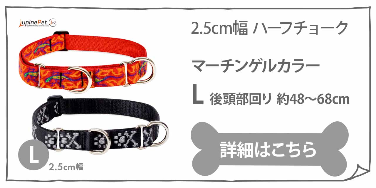 マーチンゲールカラー Lupine ルパイン コンボカラー 2.5cm幅 L 大型犬