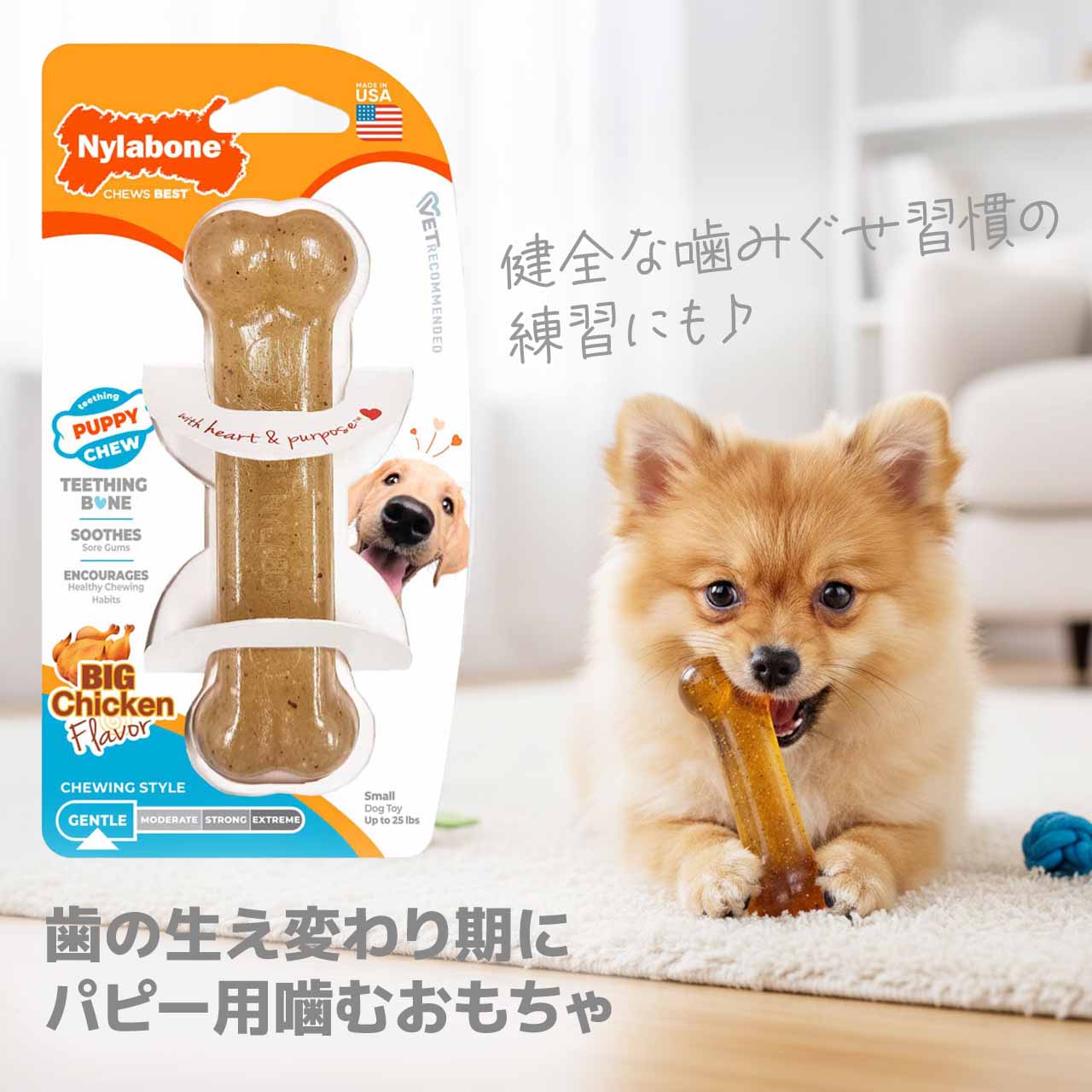 子犬 噛むおもちゃ Nylabone ナイラボーン パピーチュウ ボーン