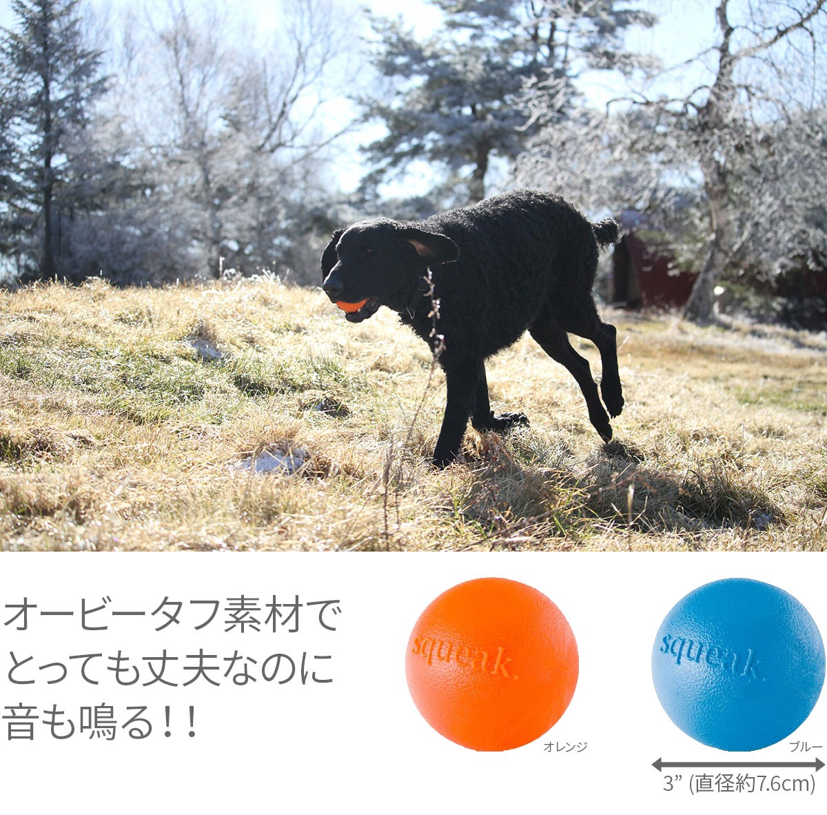 犬用おもちゃ Planet Dog オービータフ スクイークボール 中華のおせち贈り物 投げるおもちゃ 水に浮く 直径約7 6cm レトリーブ プラネットドッグ 音のなるおもちゃ