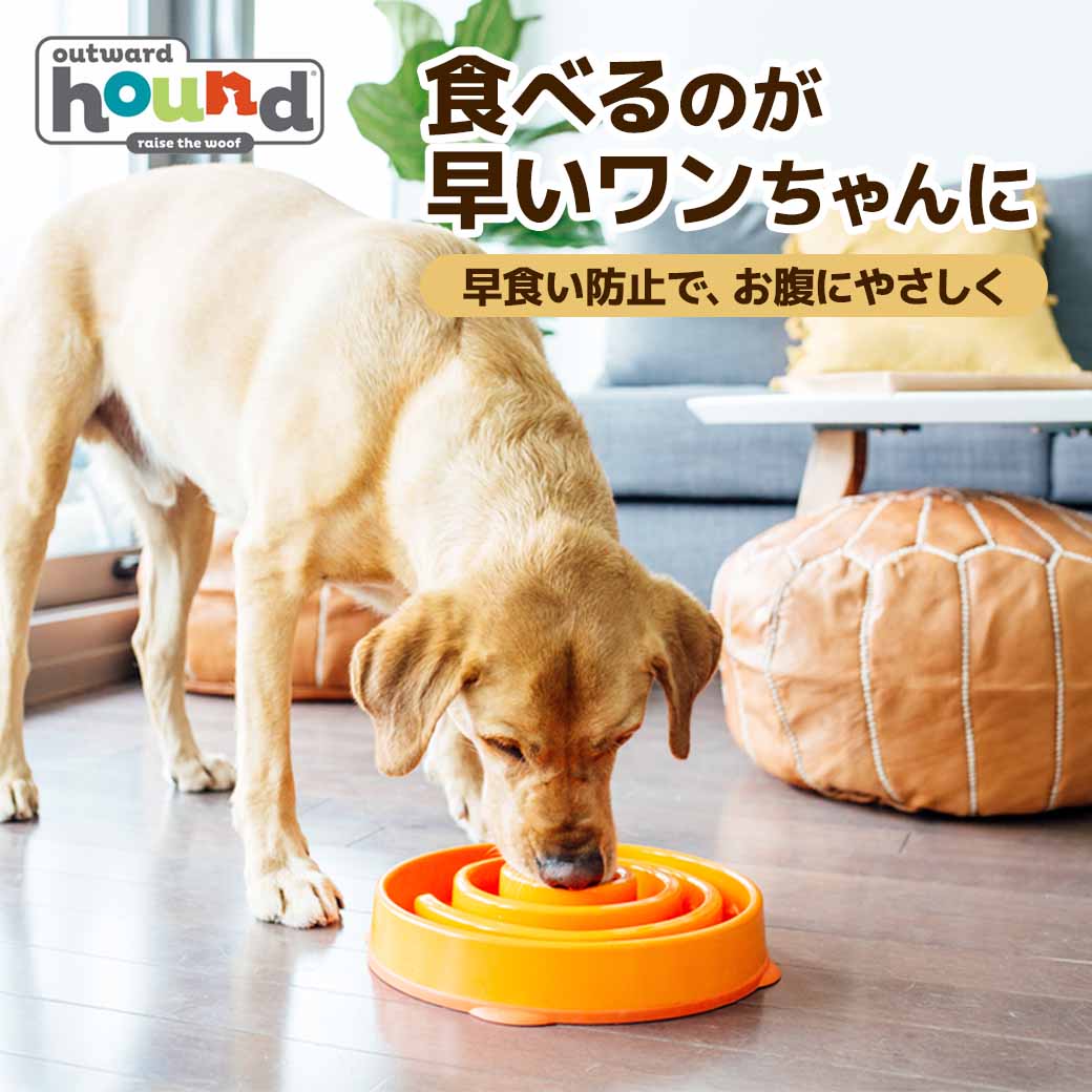 Outward Hound ファン＆スロウフィーダーボウル ミニ 2カップ アウト