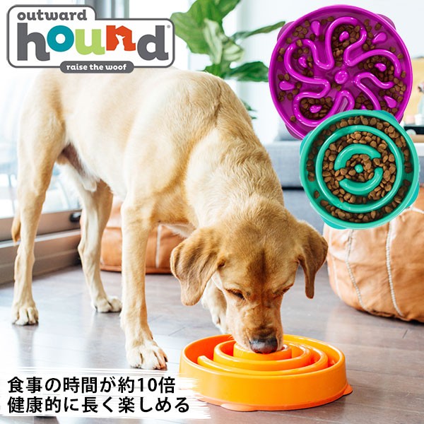 owh_slofeedbowl600.jpg