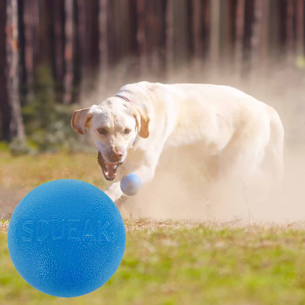 大型犬 ボール プラネットドッグ スクイークボール おもちゃ