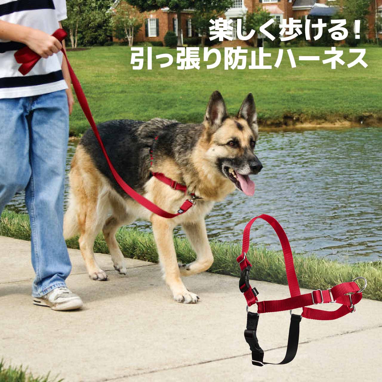 PetSafe 引っ張り防止 ペットセーフ イージーウォークハーネス