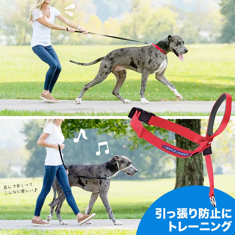 トレーニング ジェントルリーダー ヘッドカラー PetSafe ペットセーフ