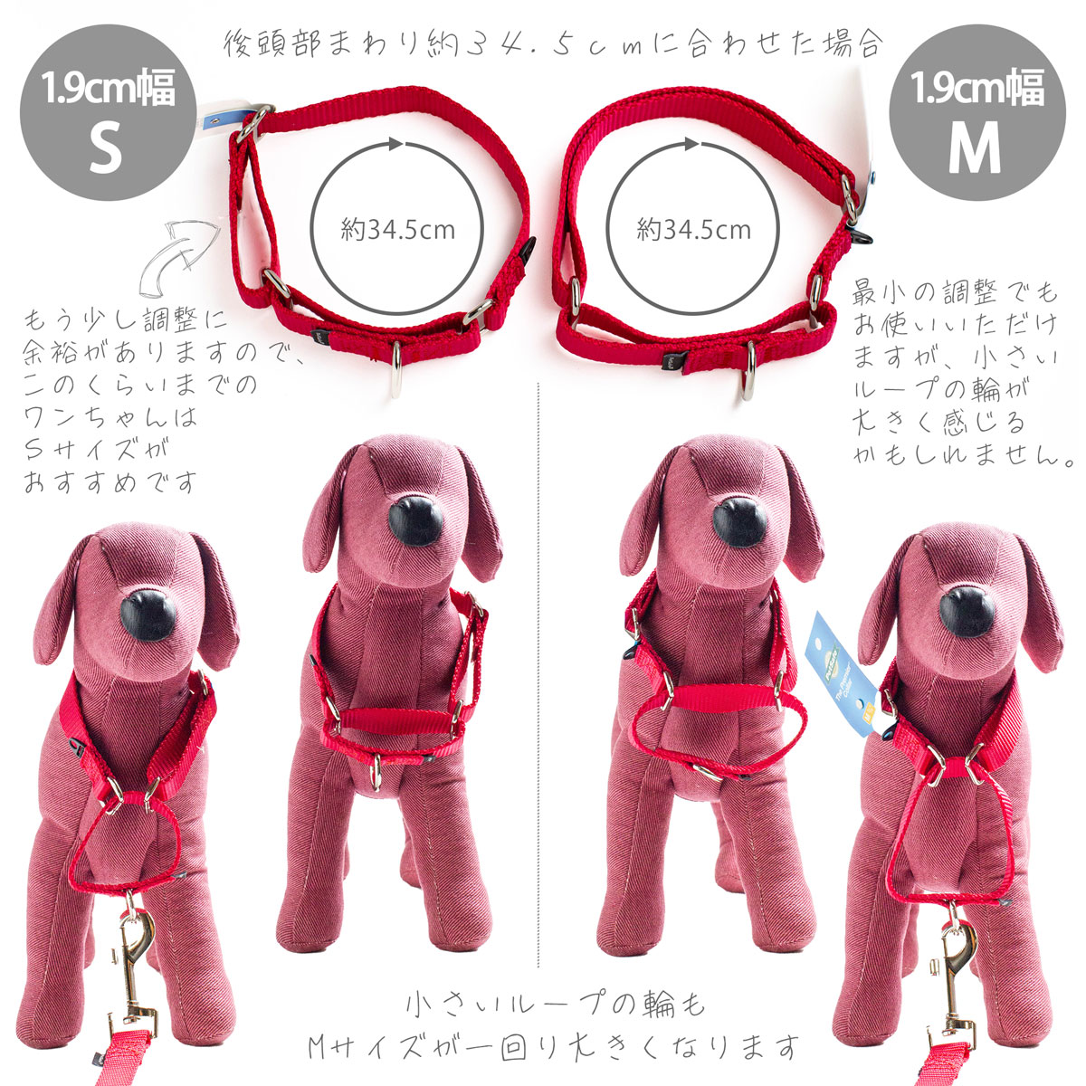 PetSafe 小型犬 首輪 ハーフチョークカラー ペットセーフ