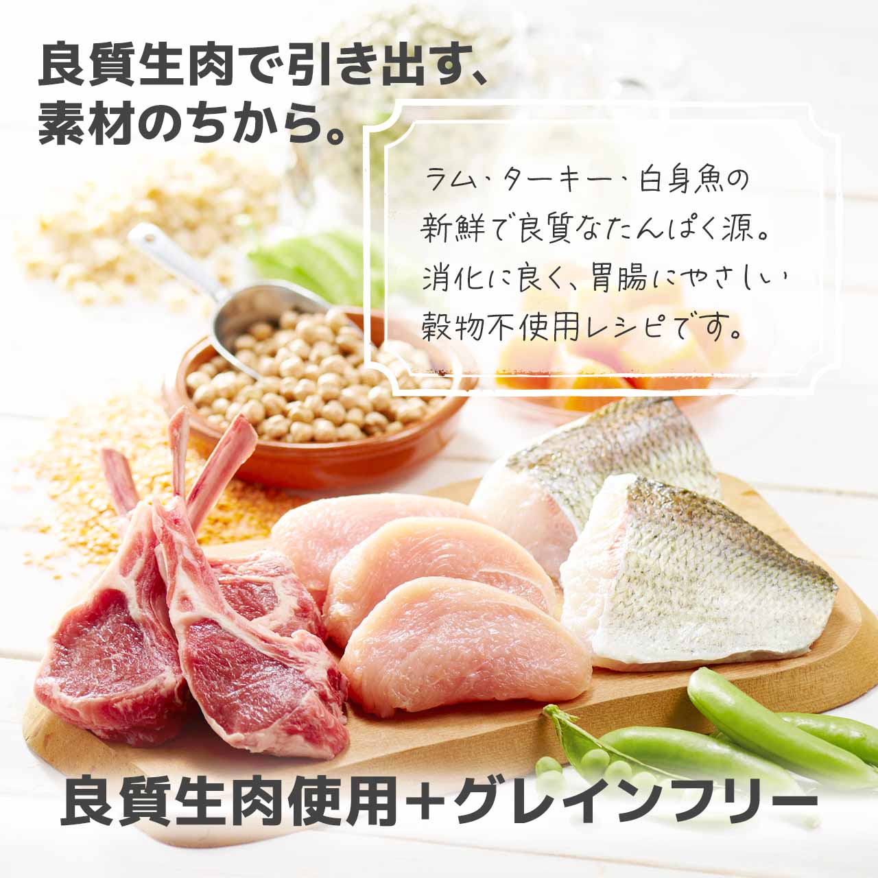 リガロ（RIGALO） ドッグフード フィッシュ シニア 900g 7歳以上用