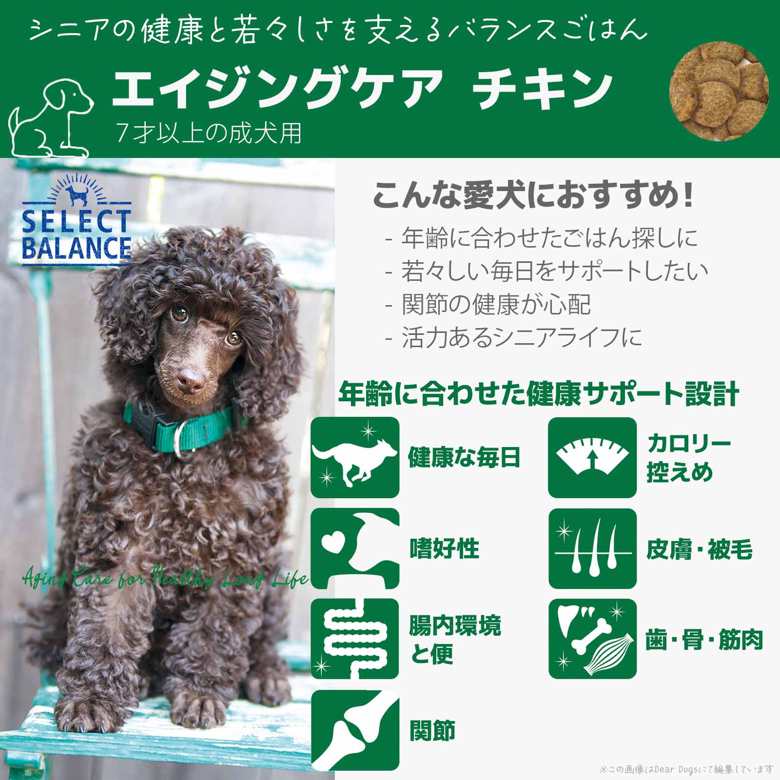 SELECT BALANCE 【訳あり】【クーポンで10%OFF】期限2026/08 シニア犬 