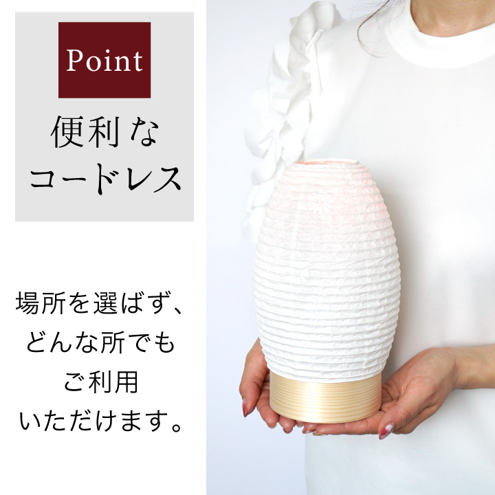 お盆飾り 11点 セット LED提灯 お盆用品 新盆 初盆 簡単 手軽 盆飾り お供え 敷物 コンパクト 新盆セット 新盆飾りの画像
