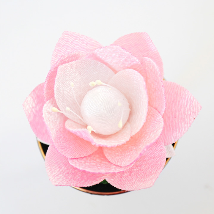 ピンク　大仏　置物 Amazon.co.jp: [Queen-b] 大仏 仏像 置物 縁起物 インテリア