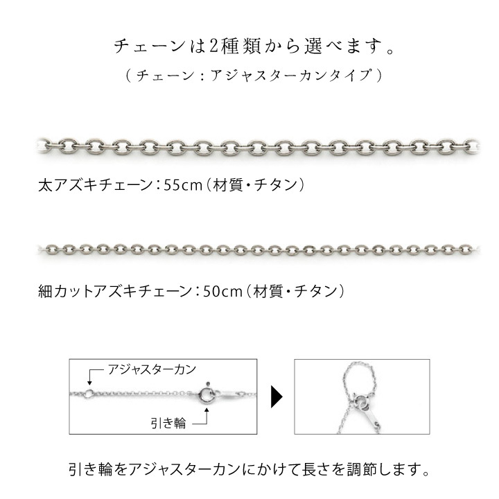 遺骨ペンダント 遺骨 アクセサリー チタン ステラ ネックレス 金属