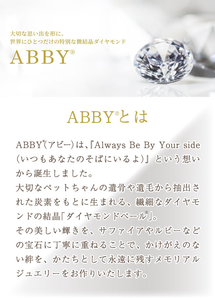 ペット 遺骨 ダイヤモンド ペンダント ABB...の詳細画像5