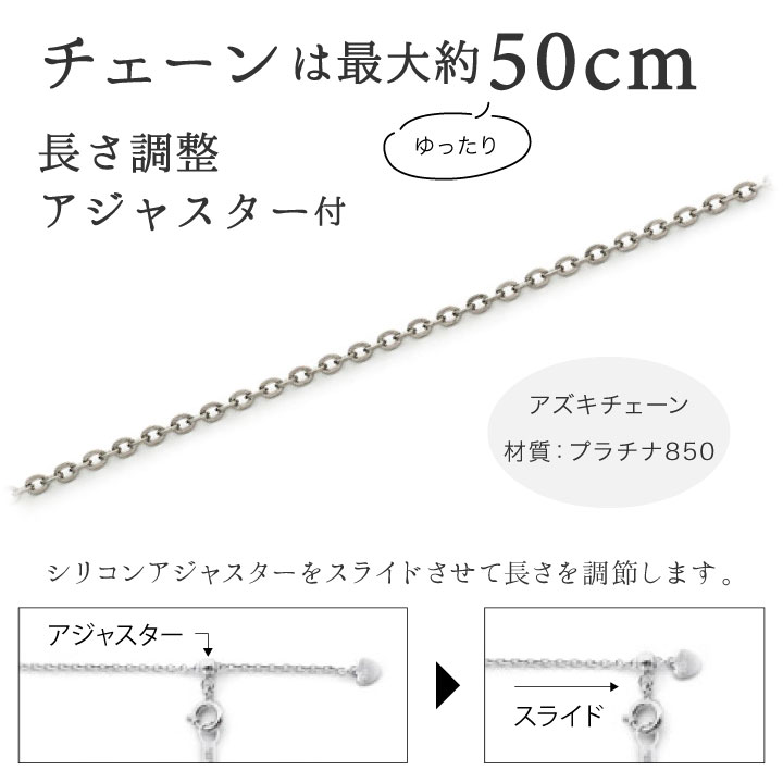 ポイント5倍 ペット 遺骨ペンダント パヴェ ...の詳細画像5