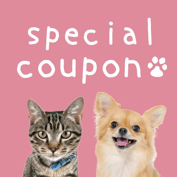 【20％OFF】お骨のパウダー仮骨 11,000円→8,800円