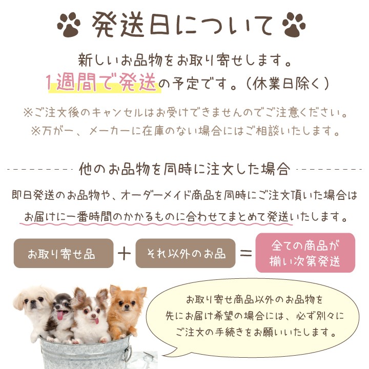 ペット 骨壷 ホワイト 白 ミニ シンプル かわいい おしゃれ 分骨 国産 手元供養 ペット供養 ペット仏具 仏具 ペット用品、生き物 メモリアル、オーナーズグッズ ペット用仏具 ペット 骨壷 ホワイト 白 ミニ シンプル かわいい おしゃれ 分骨 国産 手元供養 ペット供養 ペット仏具 仏具 ペット用品、生き物 メモリアル、オーナーズグッズ ペット用仏具
