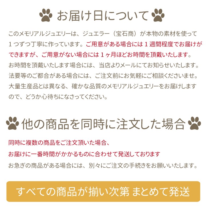 遺骨ペンダント 遺骨 アクセサリー 遺骨カプセル シルバー ダイヤ