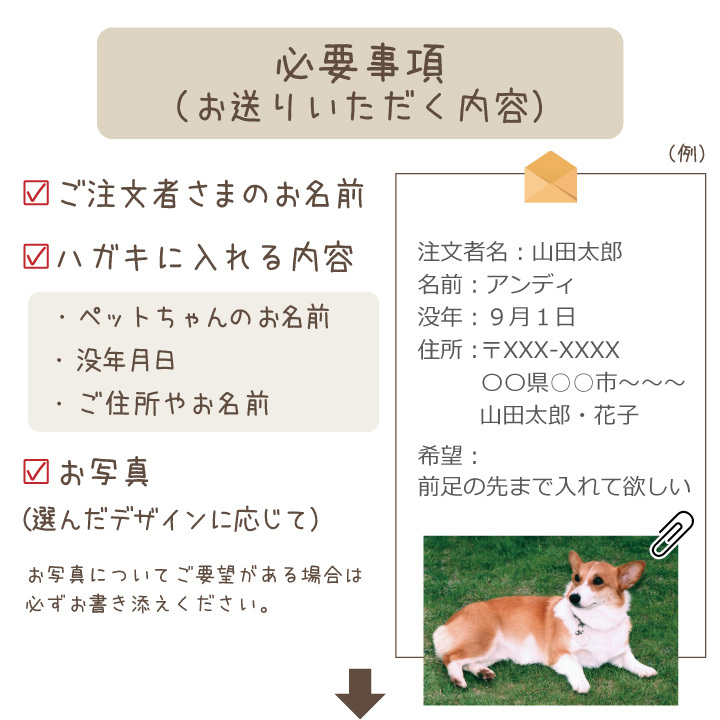 ペット 挨拶状 印刷 名入れ無料 10枚 セット 暑中見舞い 寒中見舞い