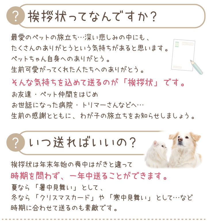 ペット 挨拶状 印刷 名入れ無料 10枚 セット 暑中見舞い 寒中