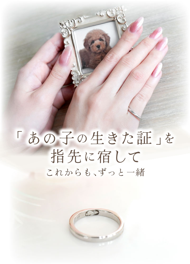 ペット 遺骨 リング 指輪 DEAR ディア 