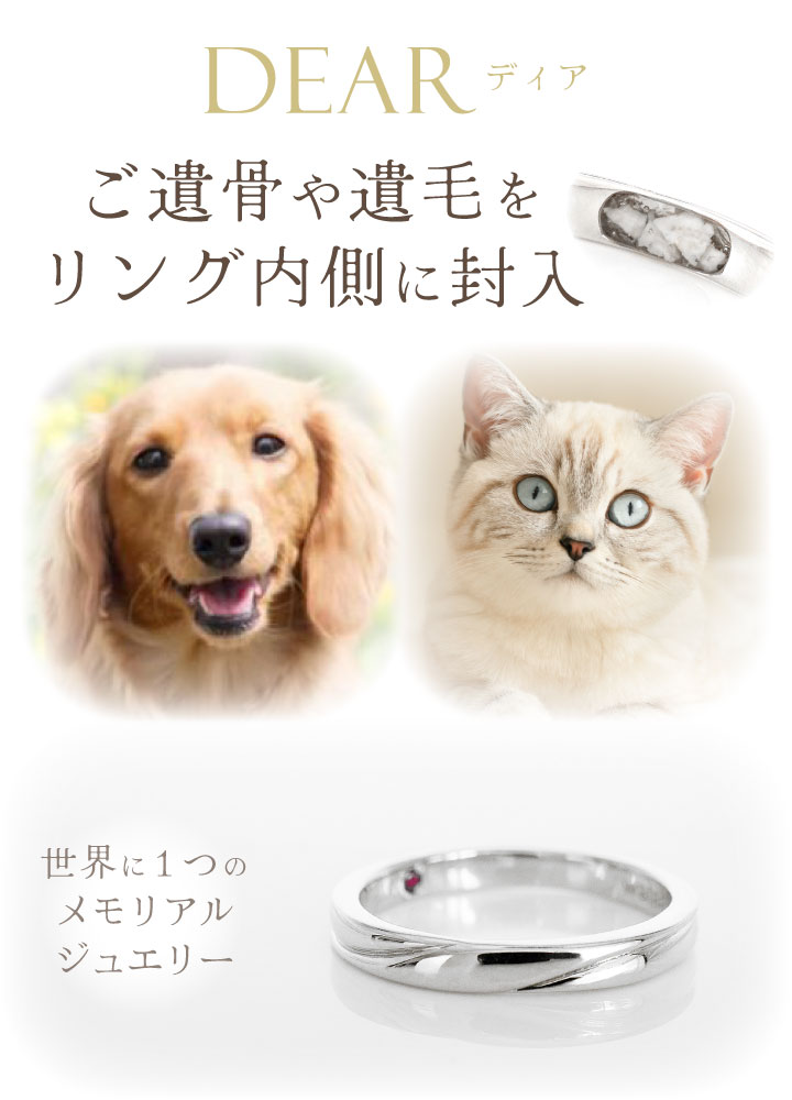 ペット 遺骨 リング 指輪 DEAR ディア ...の詳細画像2
