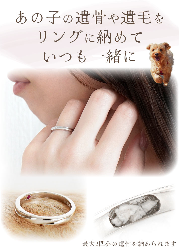 ペット 遺骨 リング 指輪 DEAR ディア ...の詳細画像3