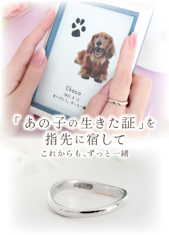 ペット 遺骨 リング 指輪 DEAR ディア ...の詳細画像1