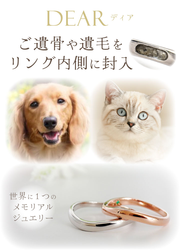 ペット 遺骨 リング 指輪 DEAR ディア ...の詳細画像2