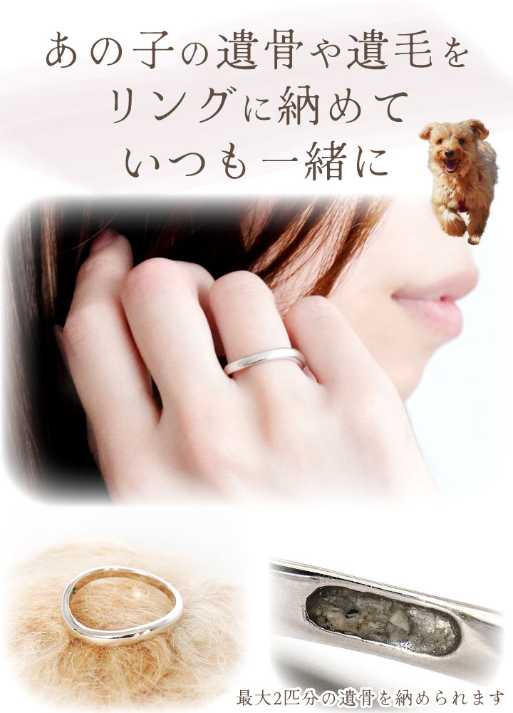 ペット 遺骨 リング 指輪 DEAR ディア ...の詳細画像3