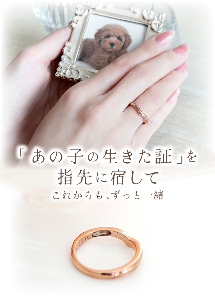 ペット 遺骨 リング 指輪 DEAR ディア ...の詳細画像1